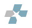 American Hospital Logo